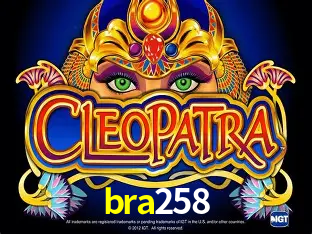 Sistemas de Segurança bra258