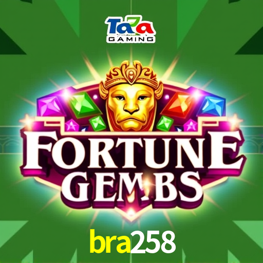 Bonus Features bra258